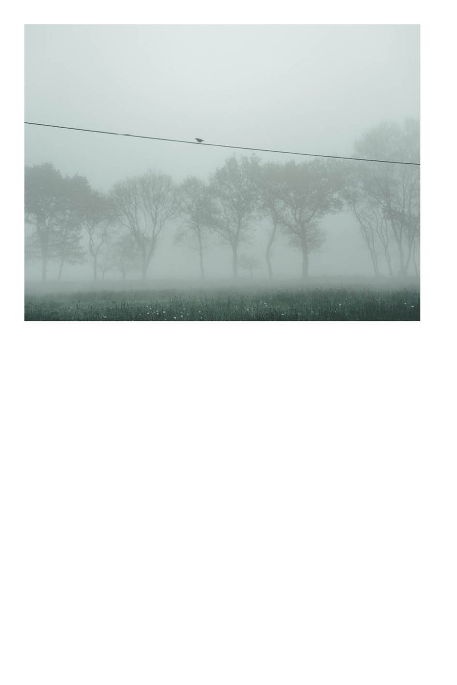 Phree - AAFF _LUMES _interior04