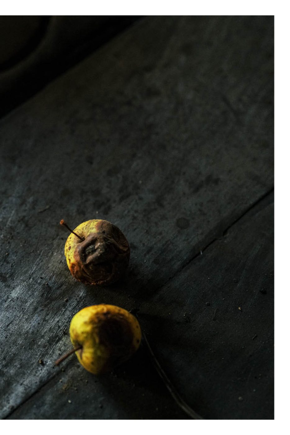 Phree - AAFF _LUMES _interior09