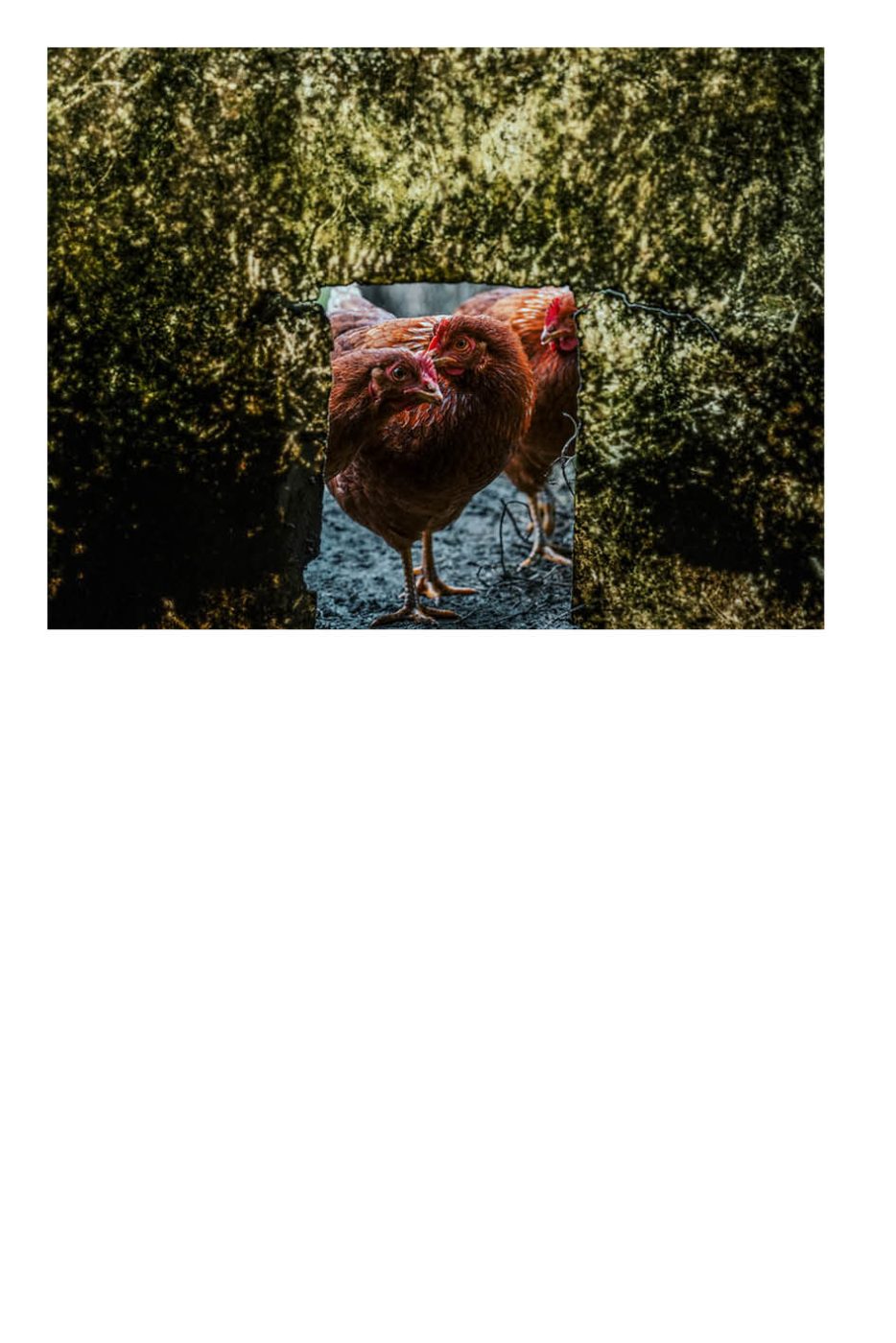 Phree - AAFF _LUMES _interior10