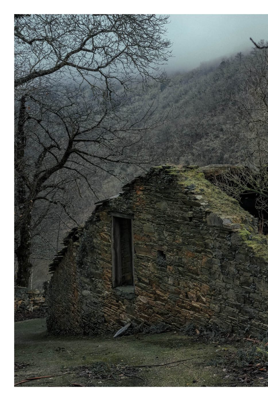 Phree - AAFF _LUMES _interior12