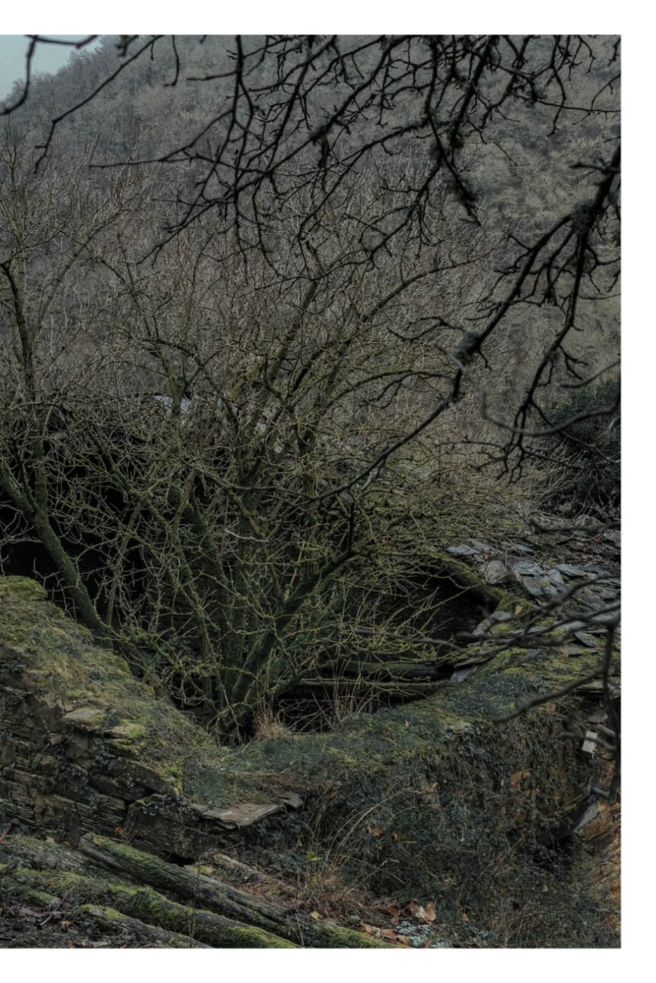 Phree - AAFF _LUMES _interior13