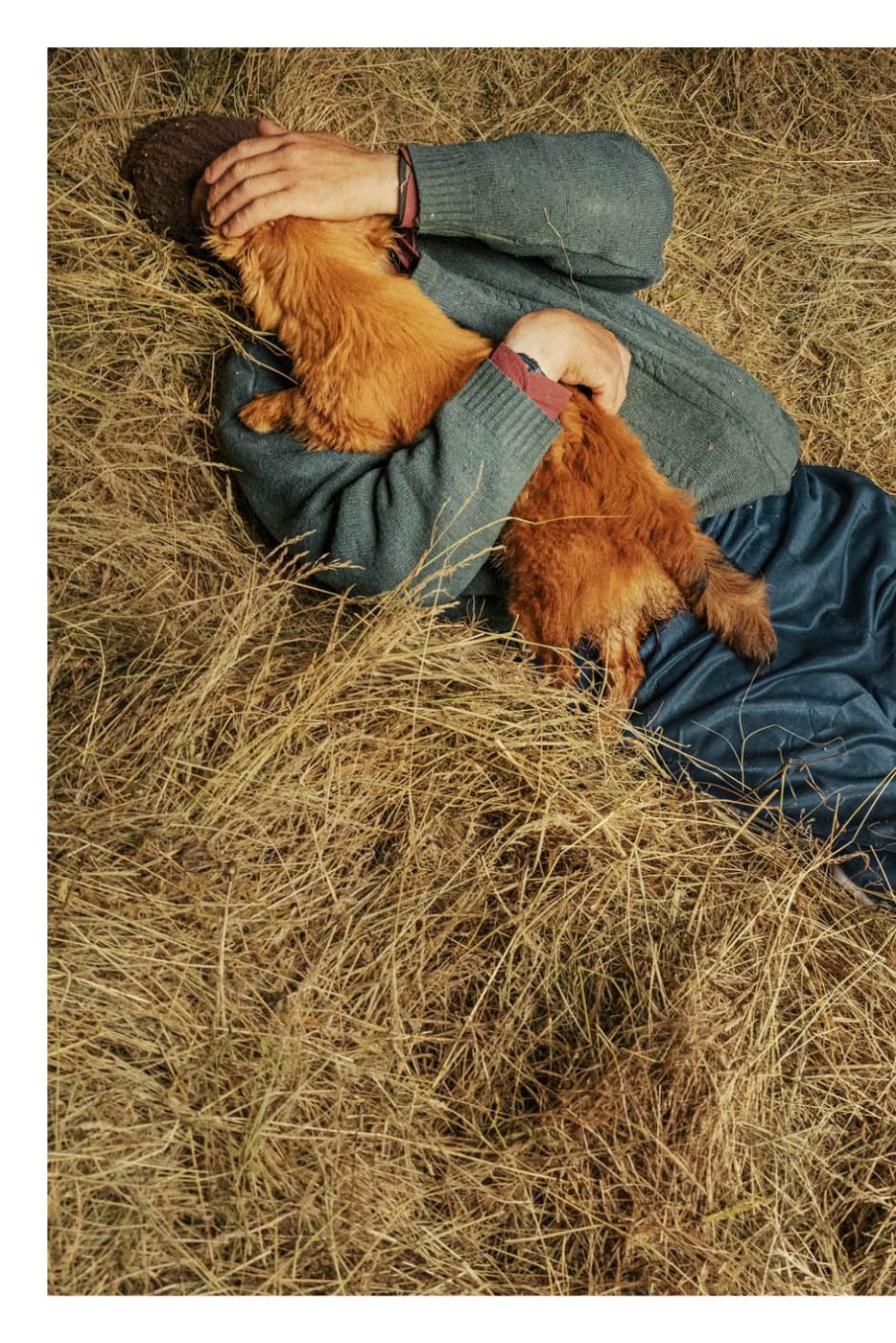 Phree - AAFF _LUMES _interior14