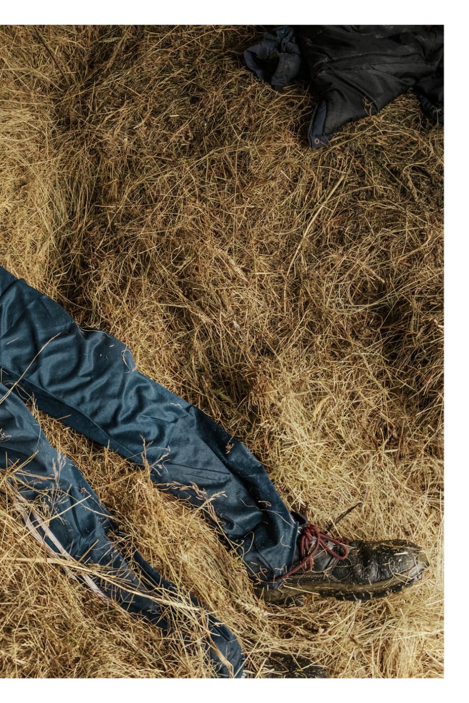 Phree - AAFF _LUMES _interior15