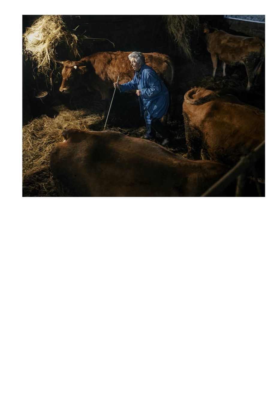 Phree - AAFF _LUMES _interior17