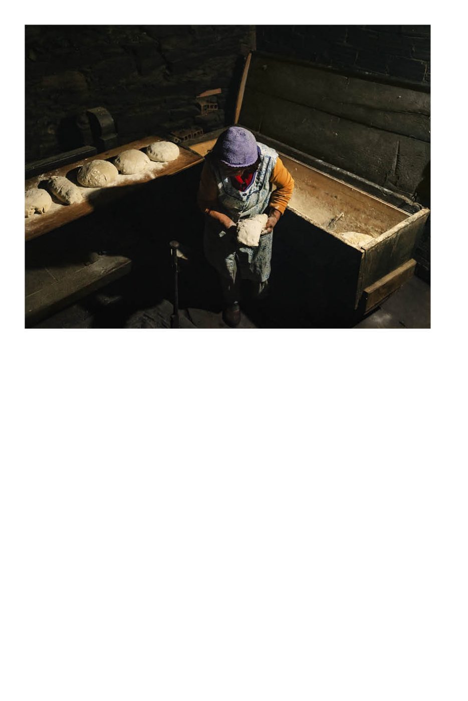 Phree - AAFF _LUMES _interior20