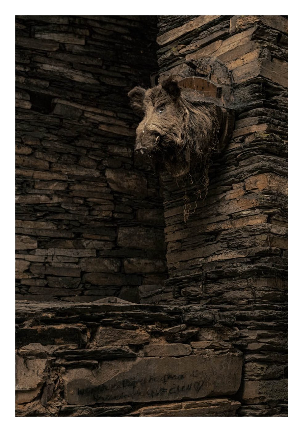 Phree - AAFF _LUMES _interior22