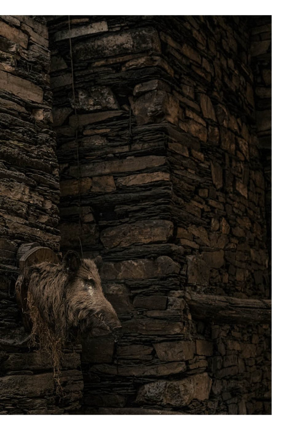 Phree - AAFF _LUMES _interior23