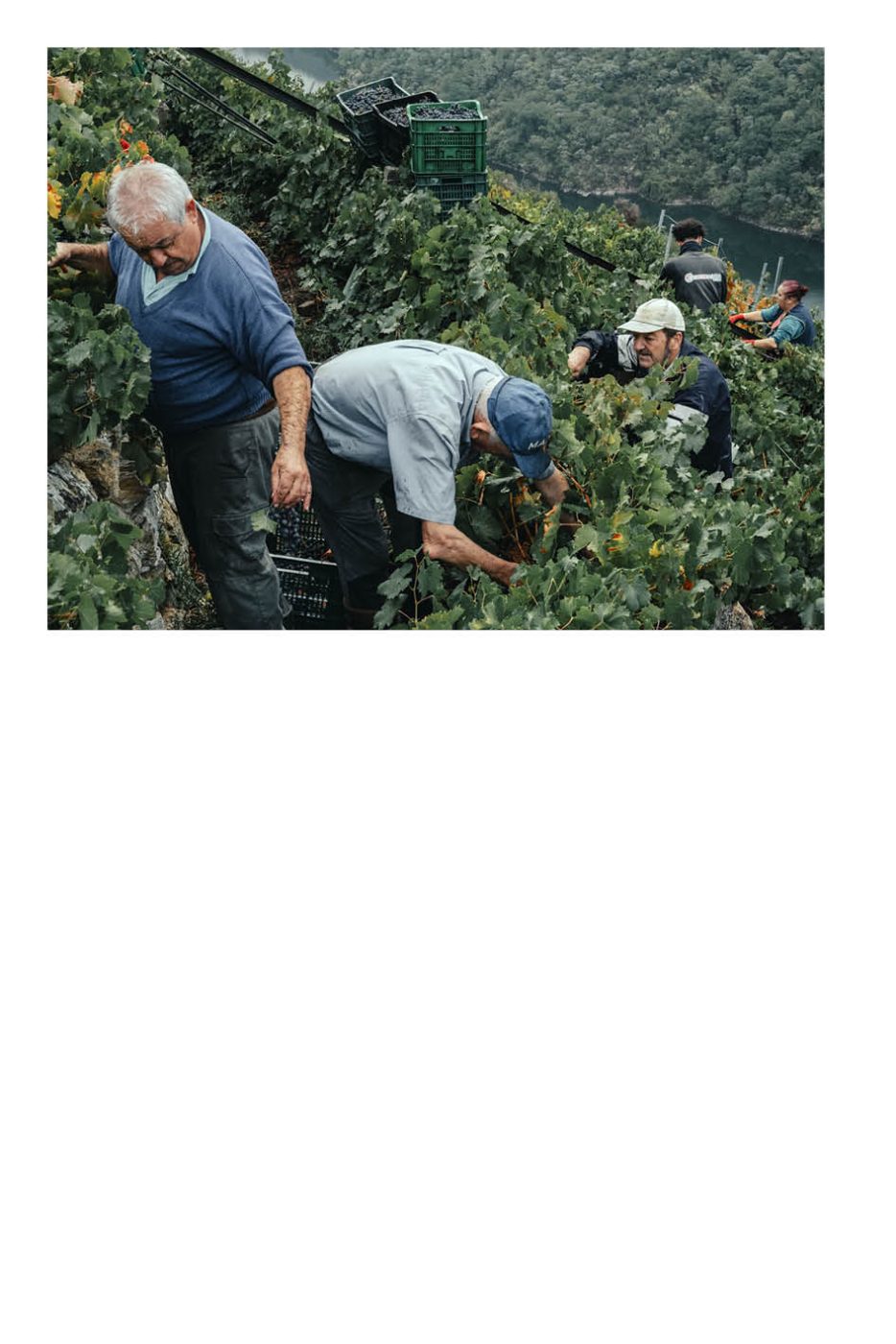 Phree - AAFF _LUMES _interior26