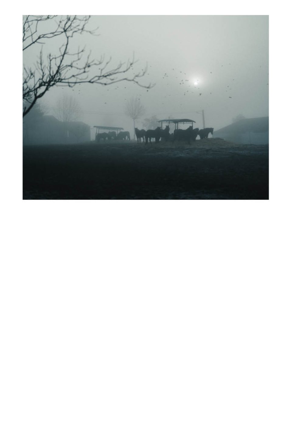 Phree - AAFF _LUMES _interior33