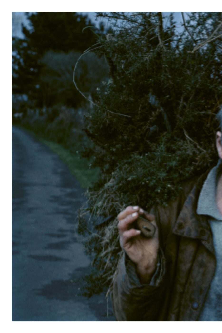 Phree - AAFF _LUMES _interior36