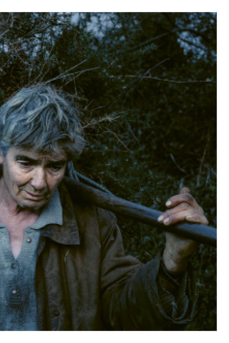 Phree - AAFF _LUMES _interior37