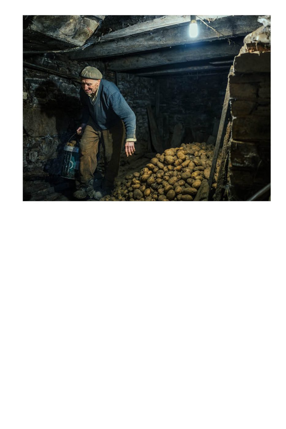 Phree - AAFF _LUMES _interior39