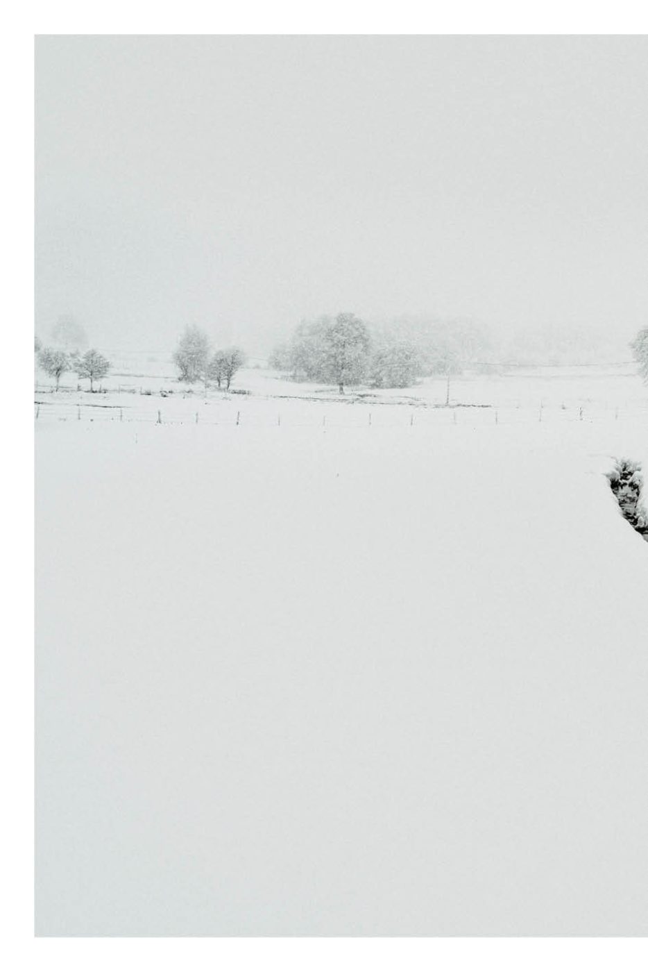 Phree - AAFF _LUMES _interior40