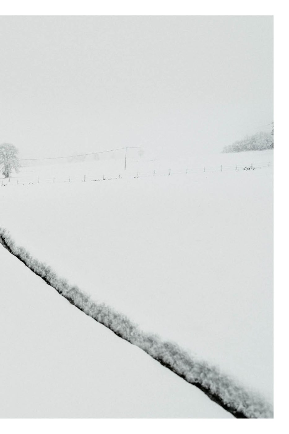 Phree - AAFF _LUMES _interior41