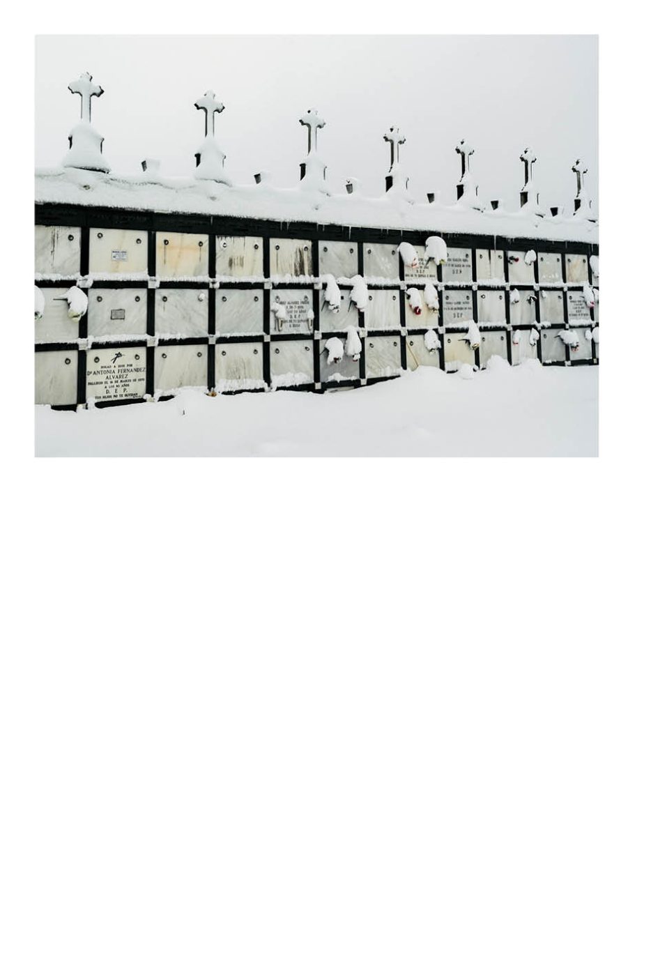 Phree - AAFF _LUMES _interior42