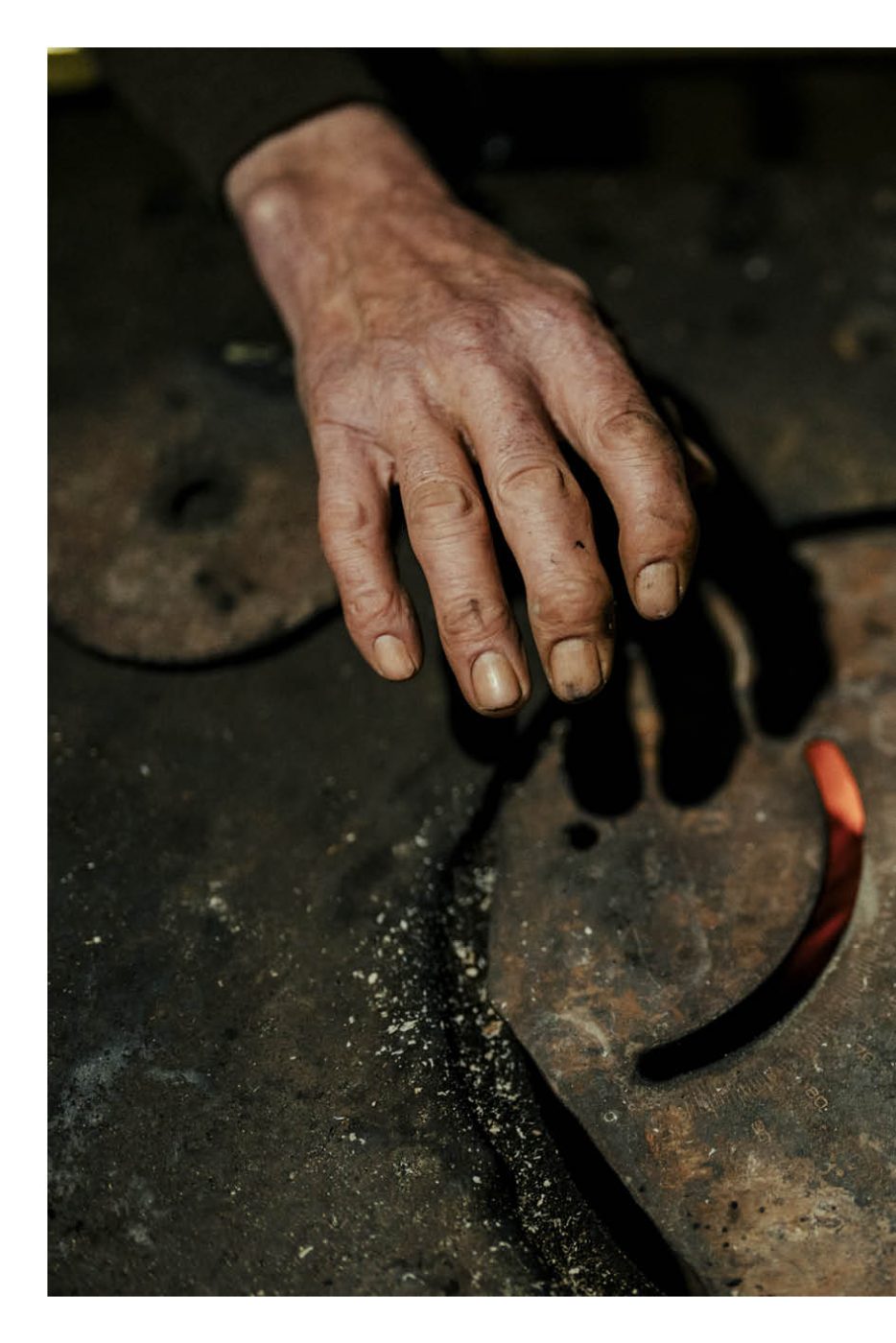 Phree - AAFF _LUMES _interior46