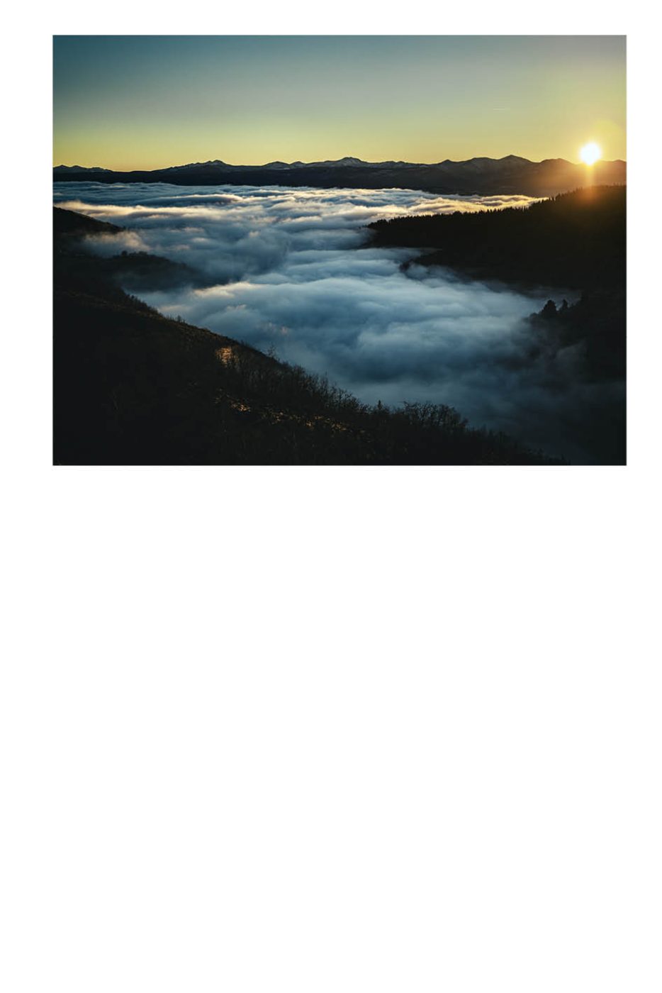 Phree - AAFF _LUMES _interior53