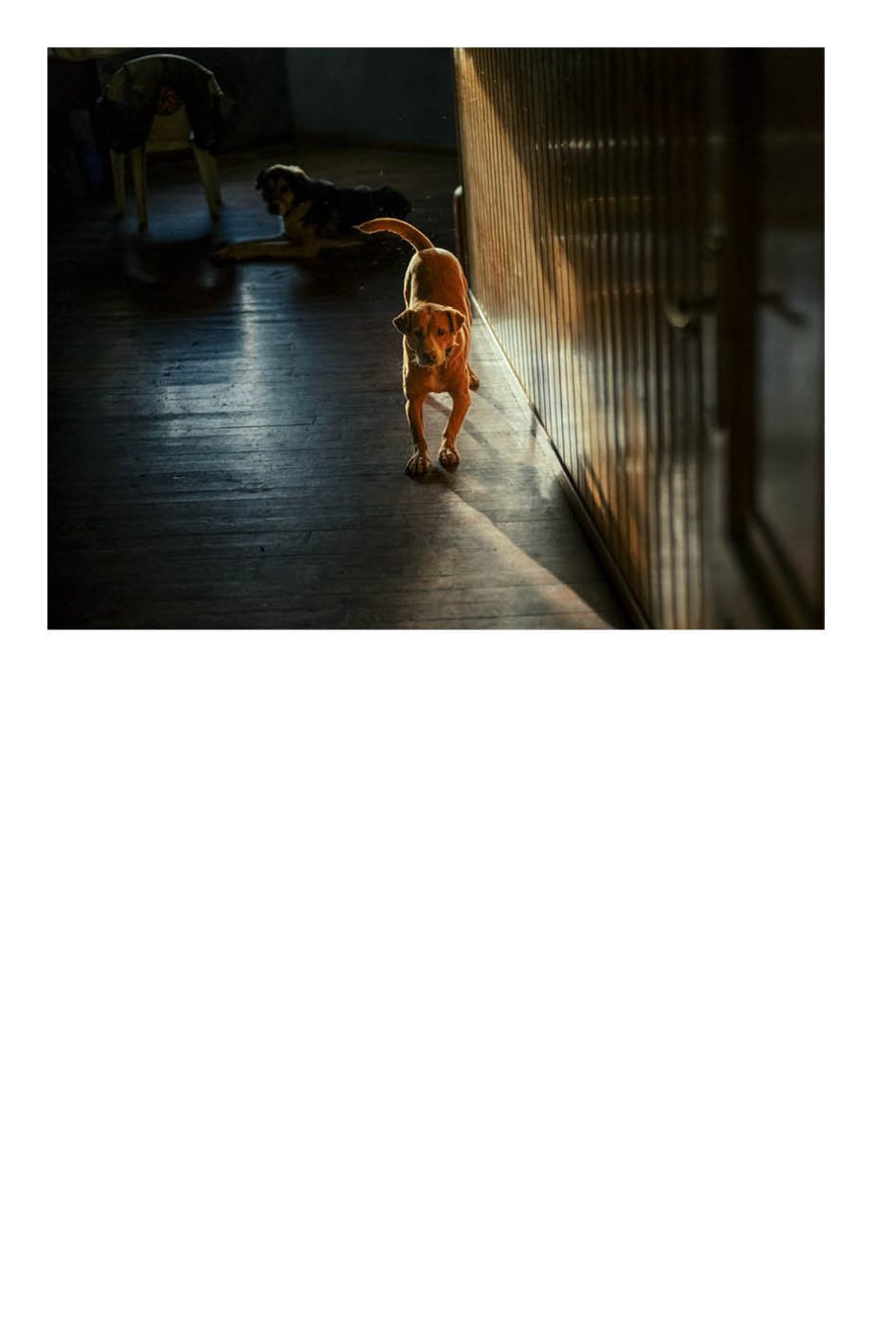 Phree - AAFF _LUMES _interior54