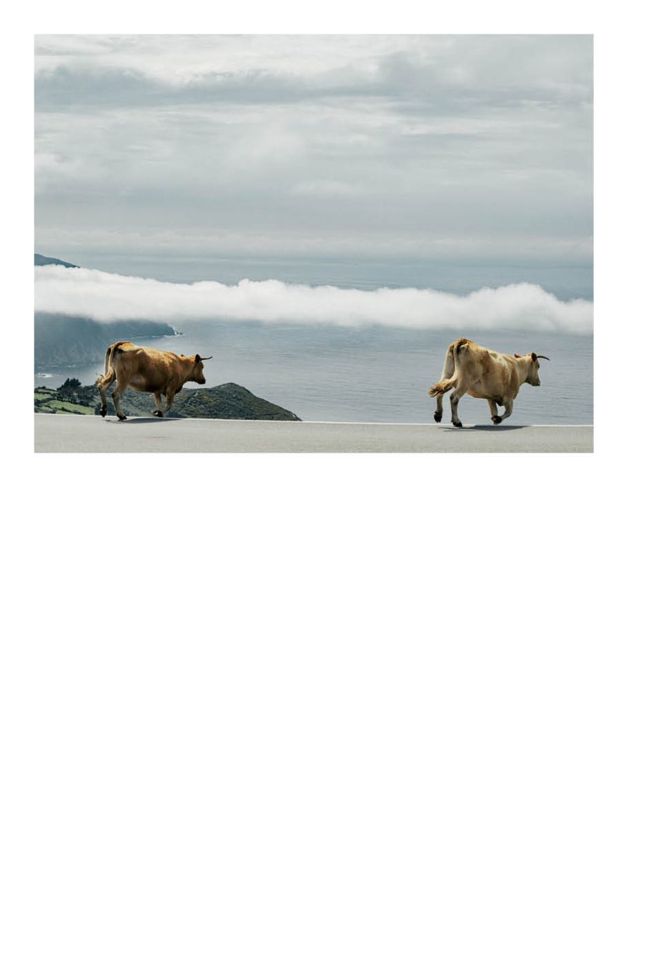 Phree - AAFF _LUMES _interior56