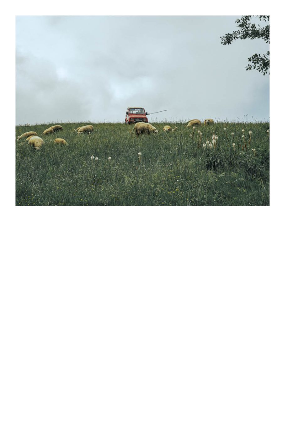 Phree - AAFF _LUMES _interior58