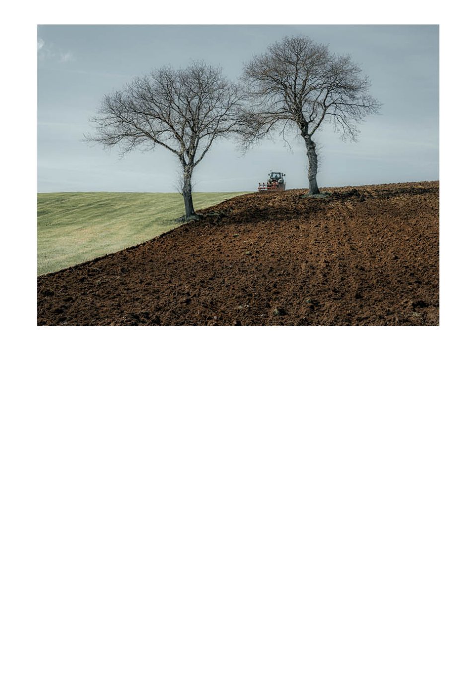 Phree - AAFF _LUMES _interior59