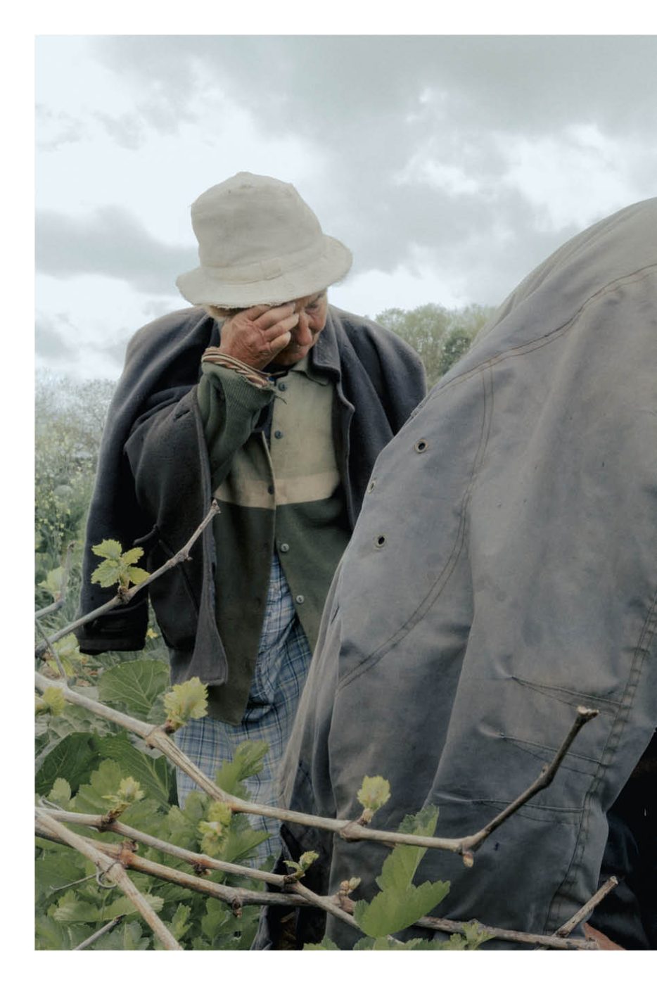 Phree - AAFF _LUMES _interior60