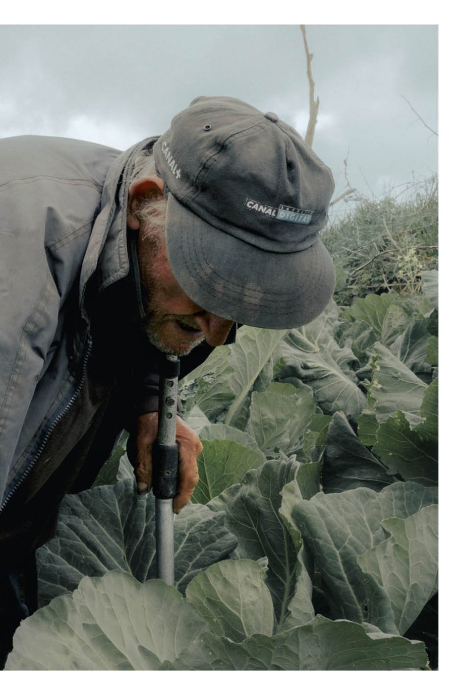 Phree - AAFF _LUMES _interior61