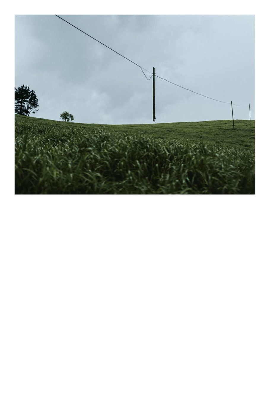 Phree - AAFF _LUMES _interior62