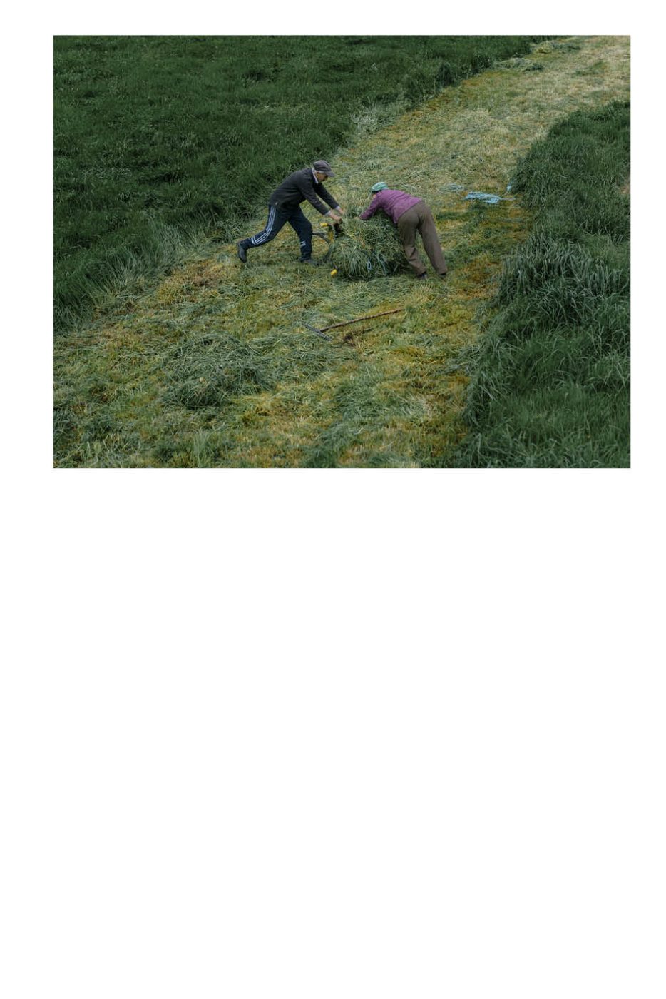 Phree - AAFF _LUMES _interior65