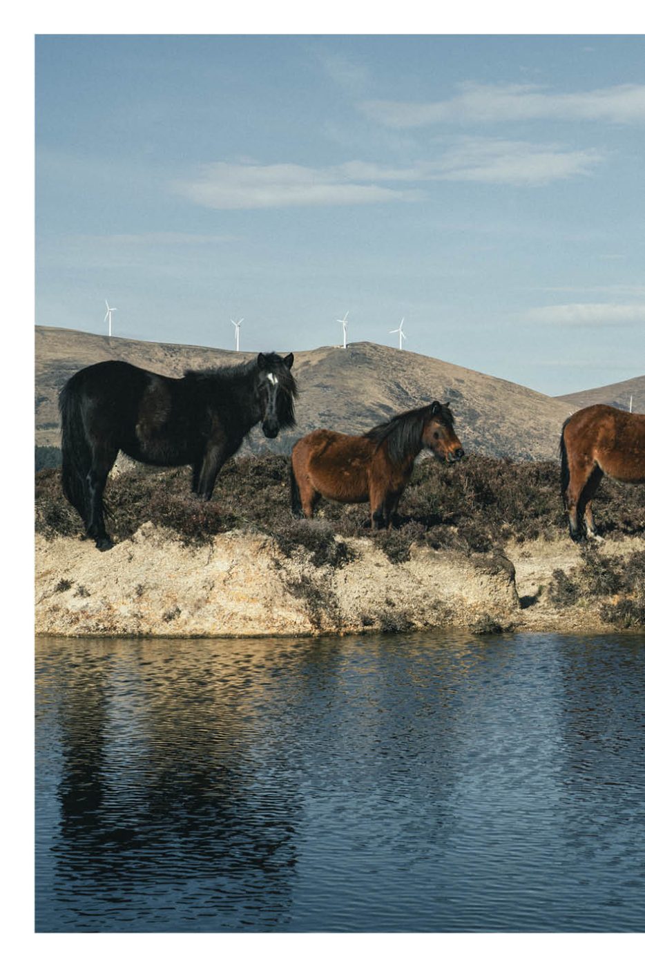 Phree - AAFF _LUMES _interior66