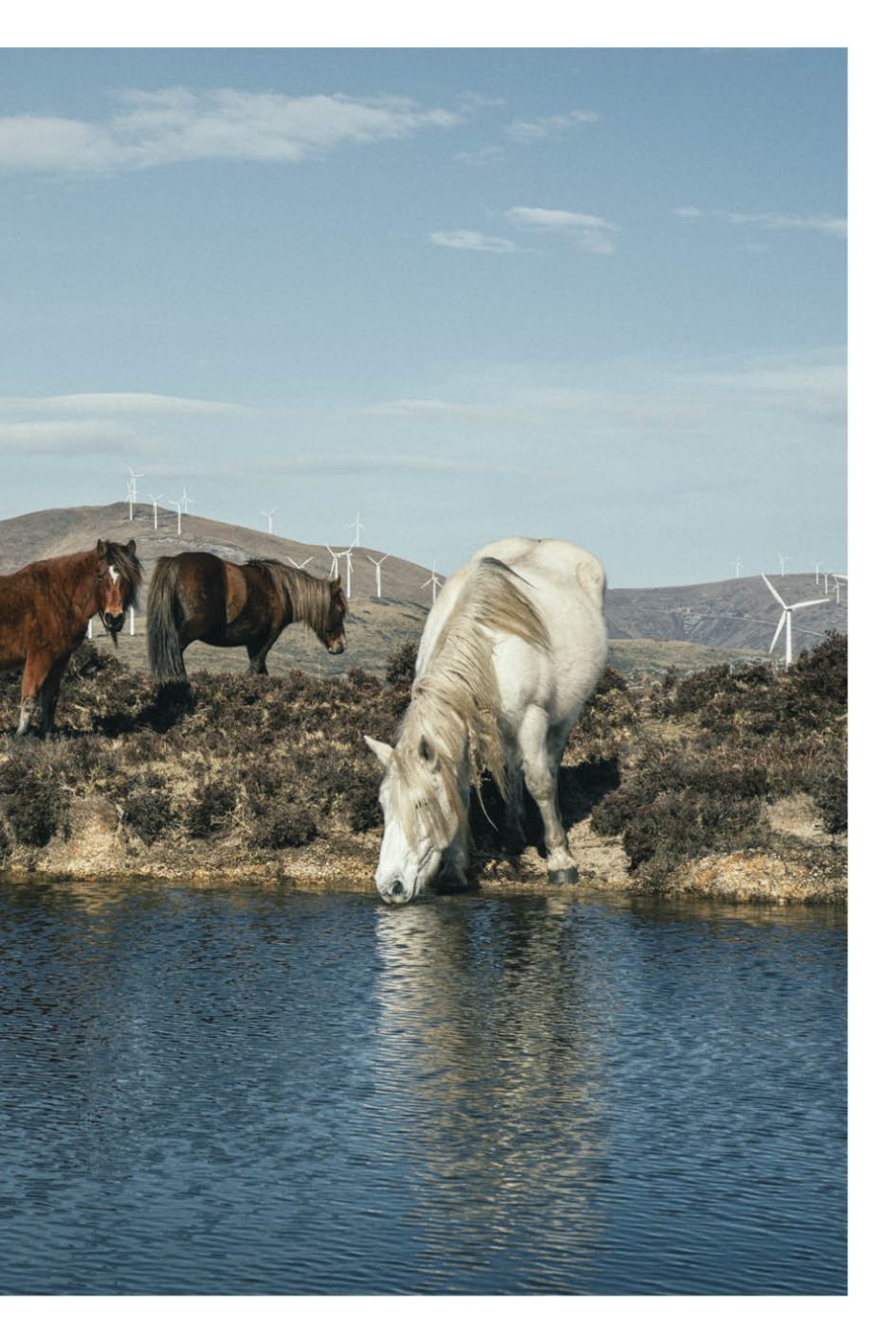 Phree - AAFF _LUMES _interior67