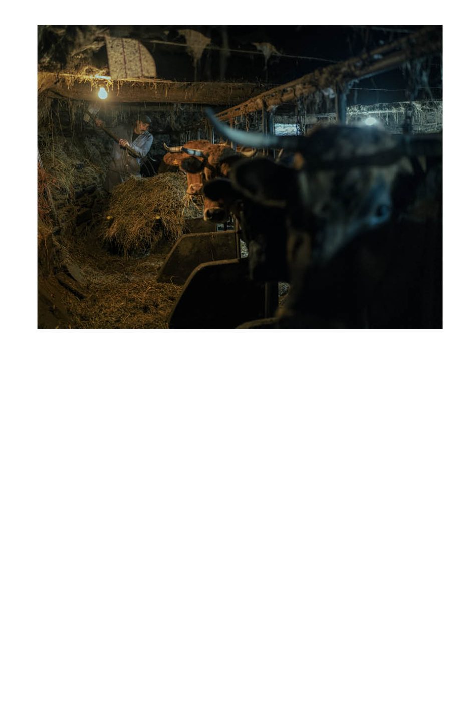 Phree - AAFF _LUMES _interior69