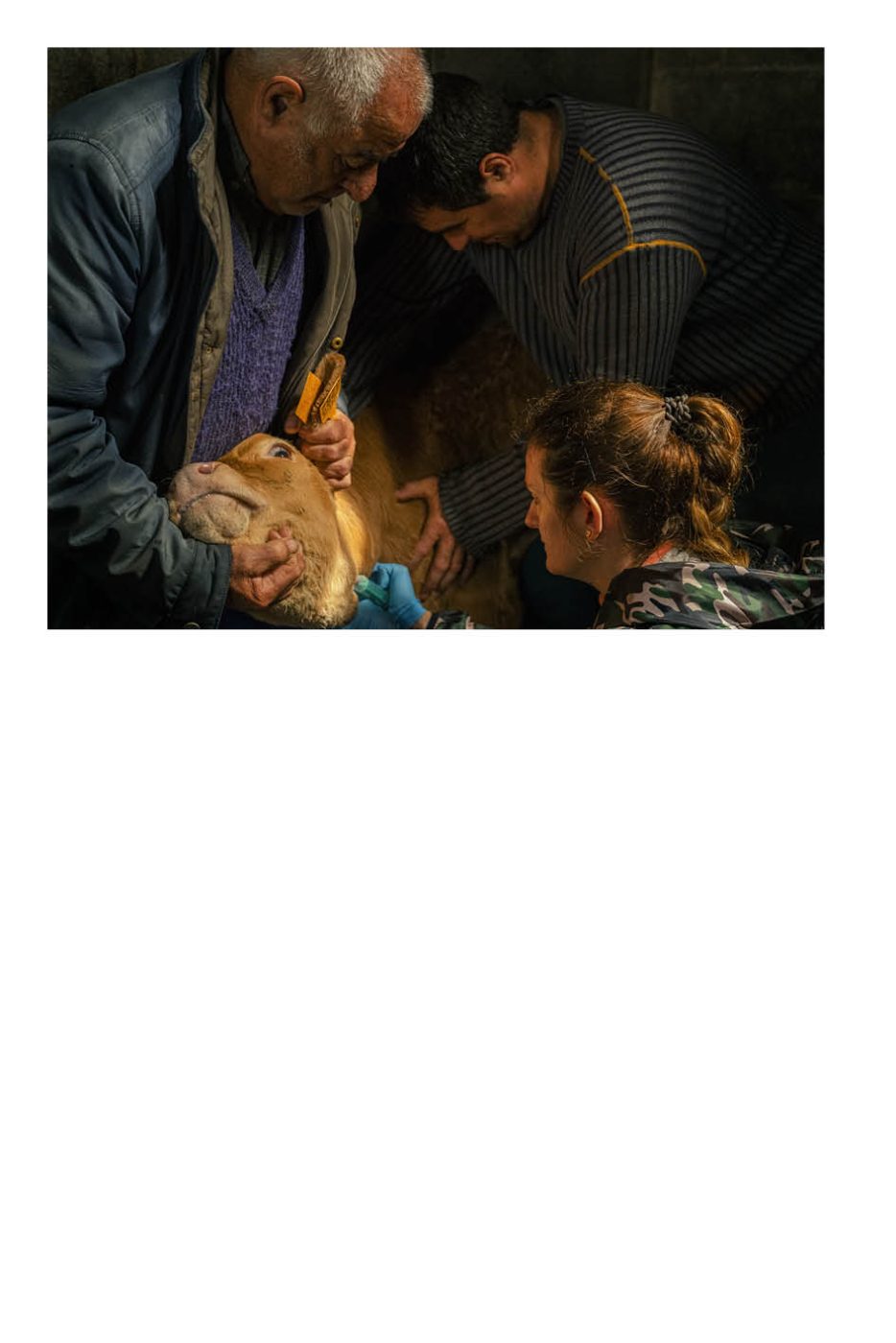 Phree - AAFF _LUMES _interior70