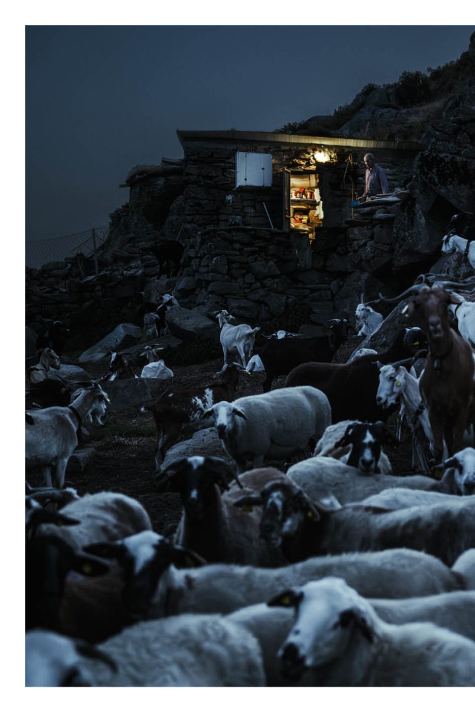 Phree - AAFF _LUMES _interior72