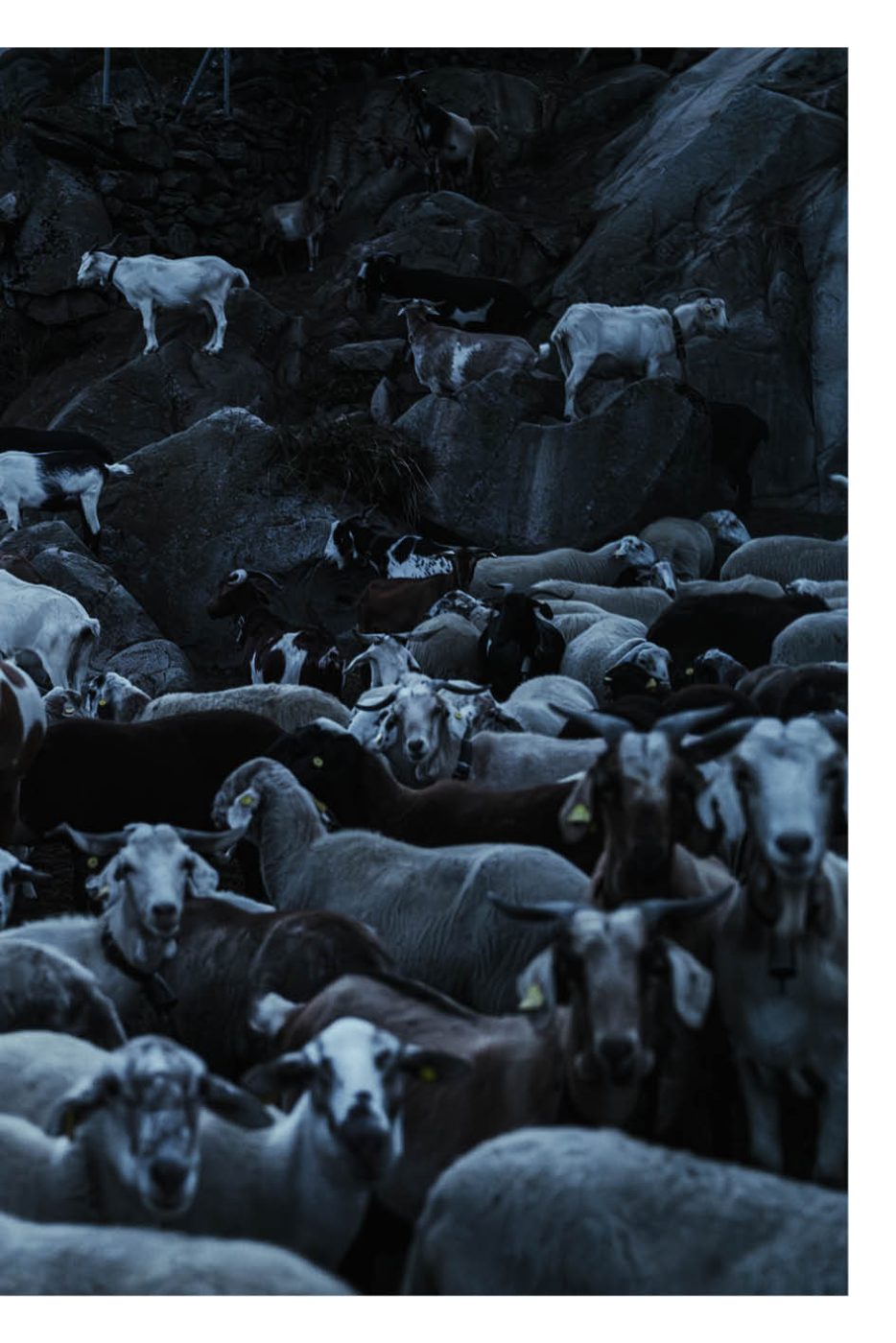 Phree - AAFF _LUMES _interior73