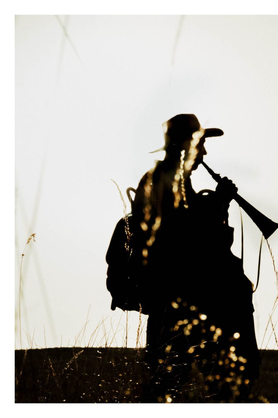 Phree - AAFF _LUMES _interior74