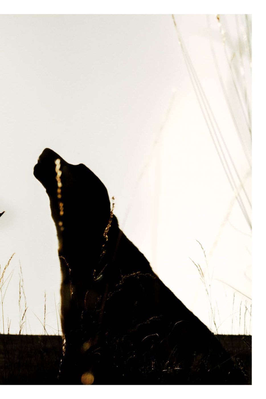 Phree - AAFF _LUMES _interior75