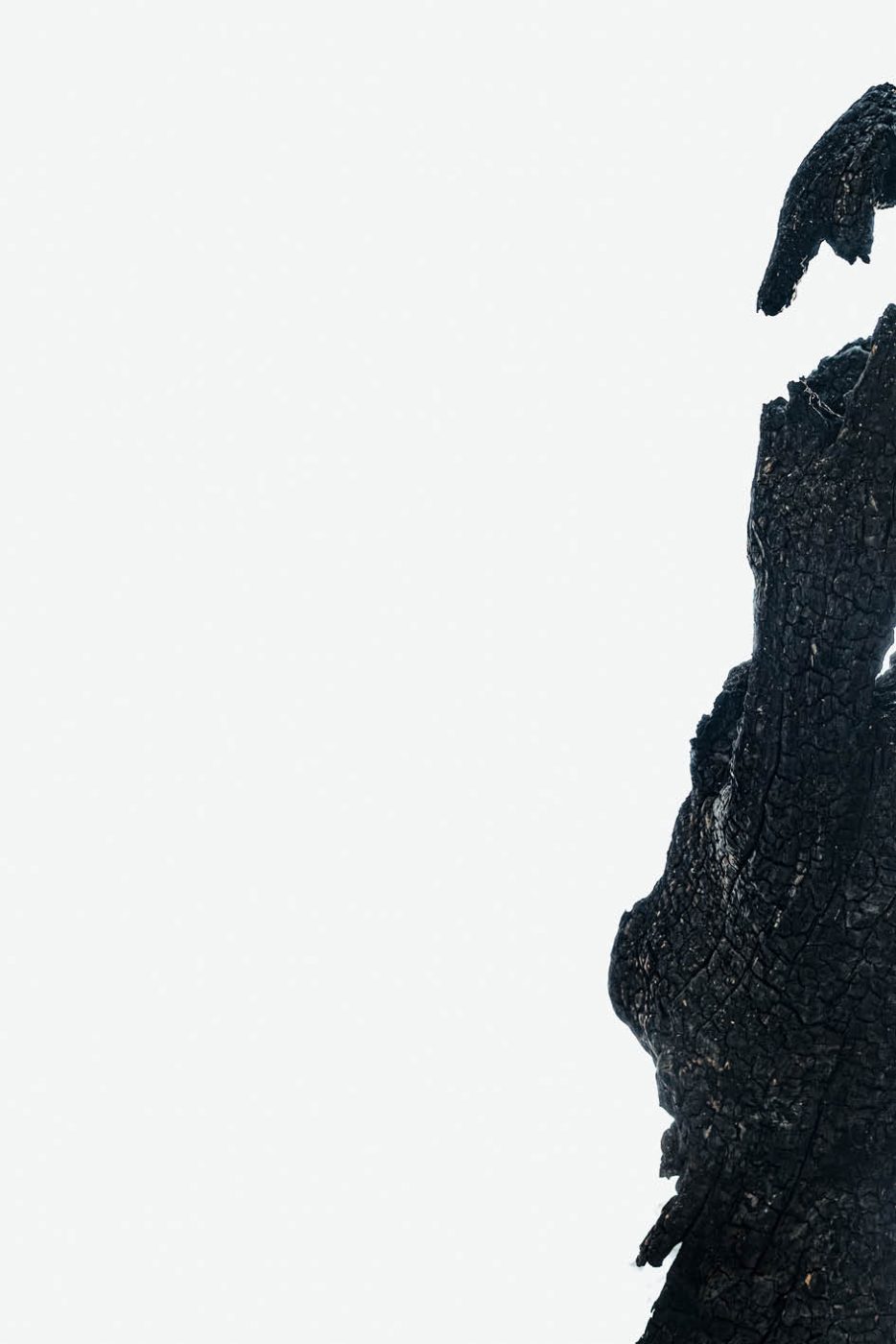 Phree - AAFF _LUMES _interior76