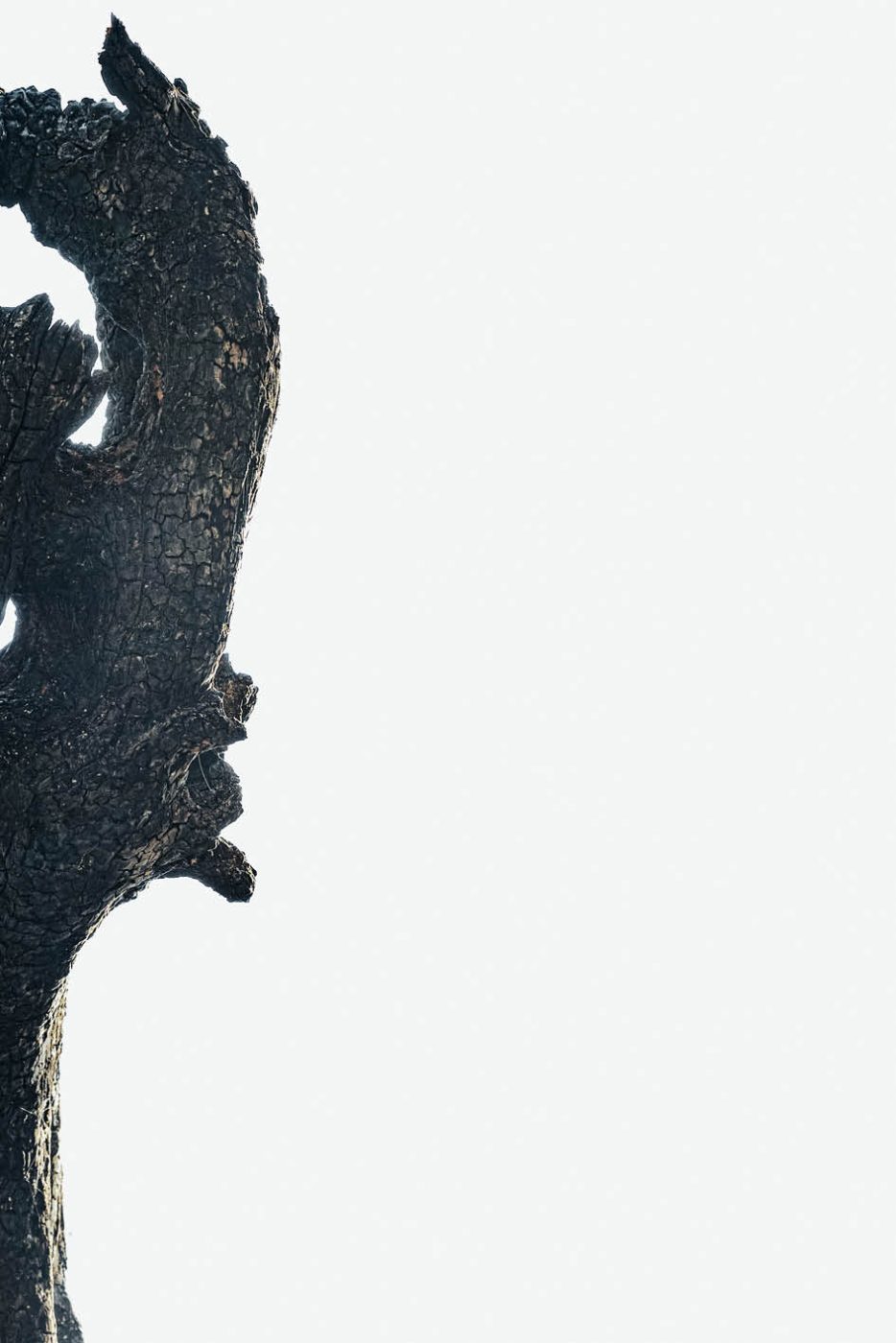 Phree - AAFF _LUMES _interior77