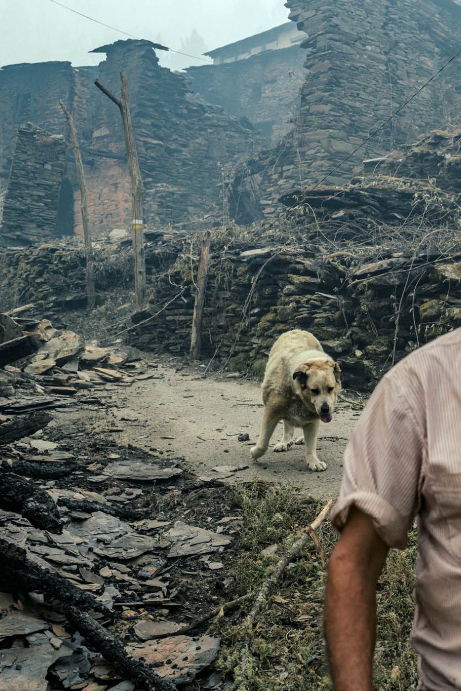 Phree - AAFF _LUMES _interior78