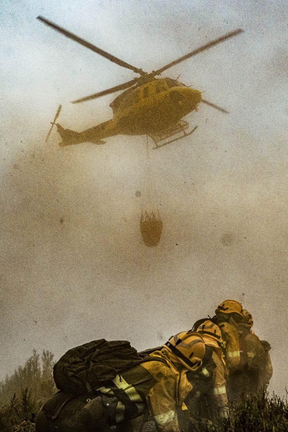 Phree - AAFF _LUMES _interior80