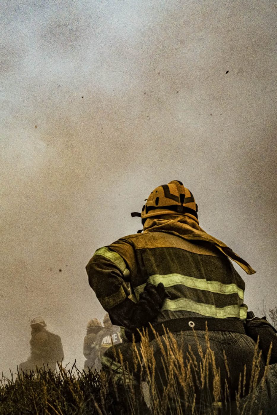 Phree - AAFF _LUMES _interior81