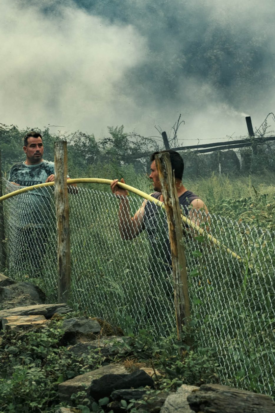 Phree - AAFF _LUMES _interior83