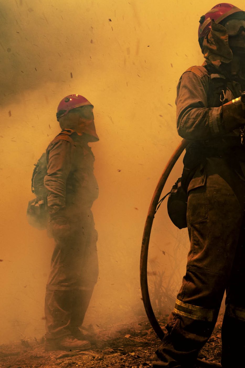 Phree - AAFF _LUMES _interior84