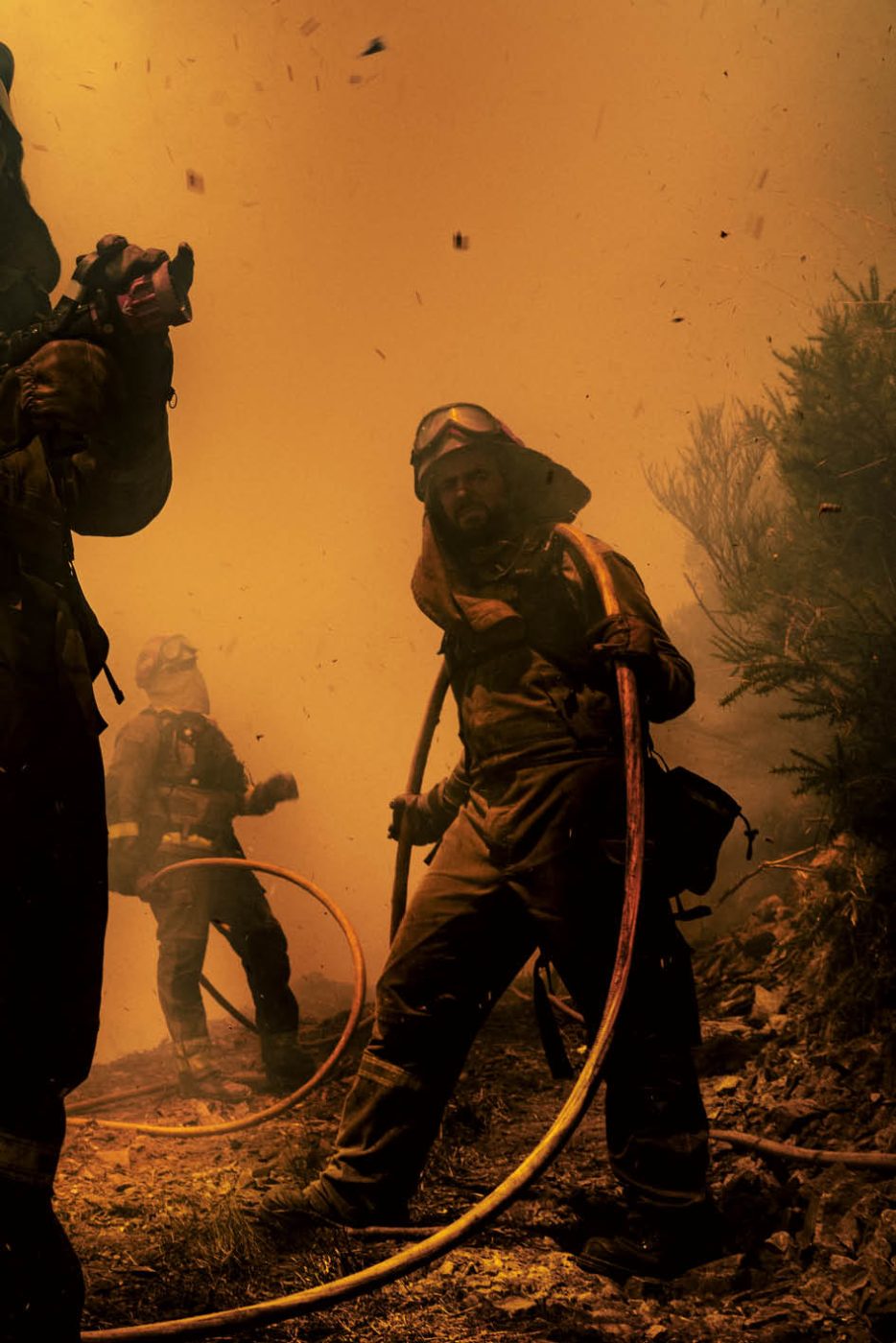 Phree - AAFF _LUMES _interior85