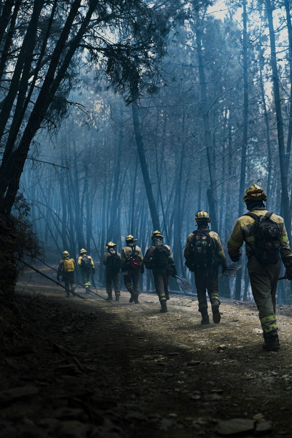 Phree - AAFF _LUMES _interior86