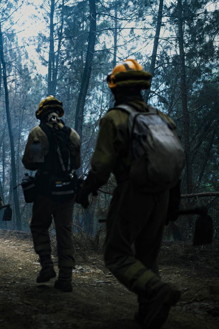 Phree - AAFF _LUMES _interior87