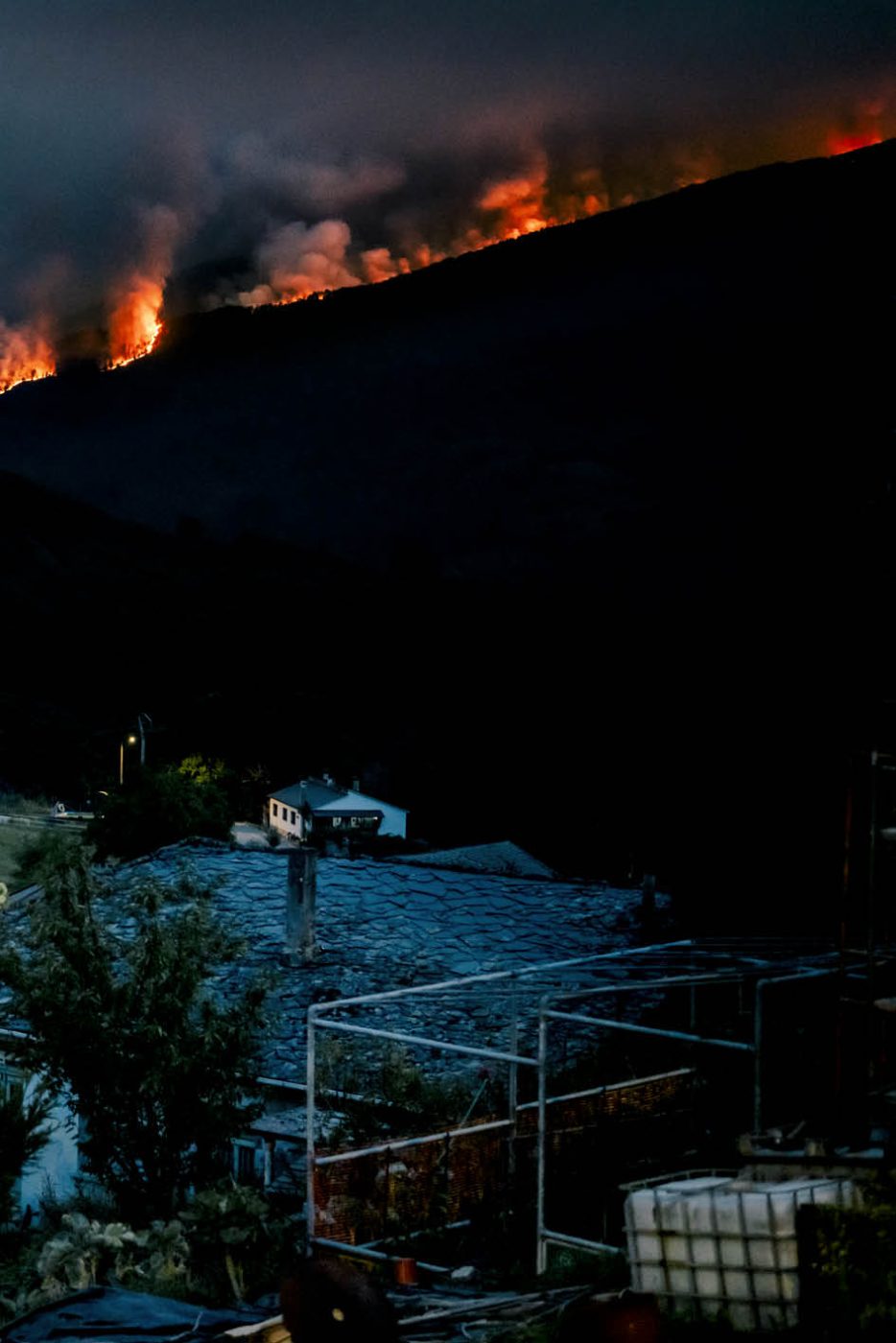 Phree - AAFF _LUMES _interior89