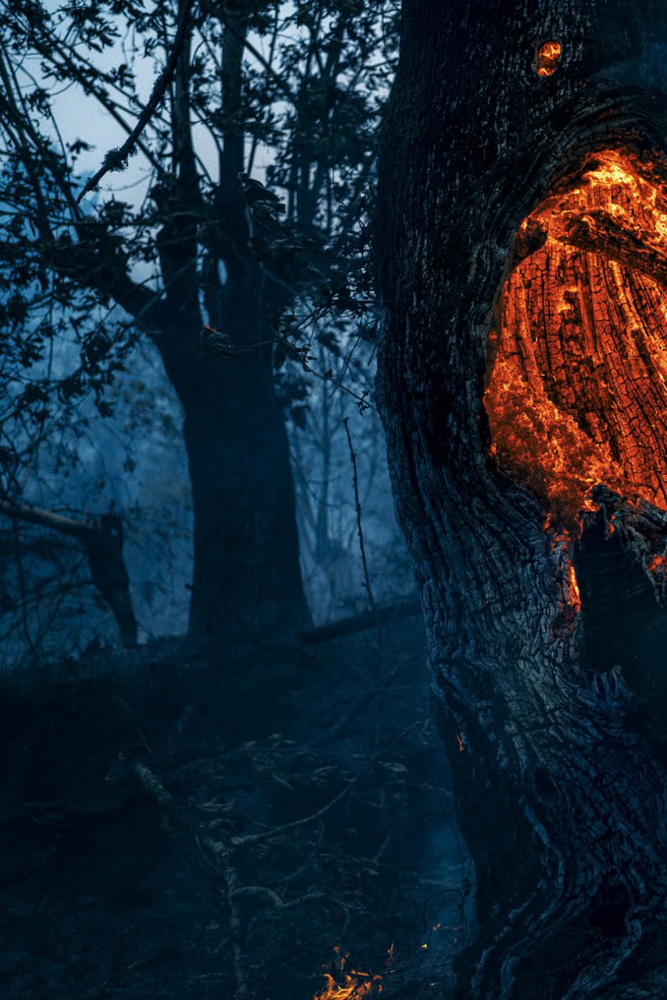 Phree - AAFF _LUMES _interior90