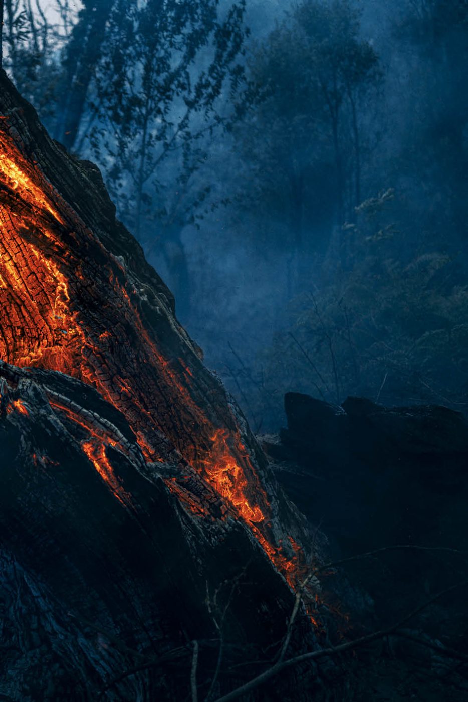 Phree - AAFF _LUMES _interior91